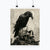Poster - Raven